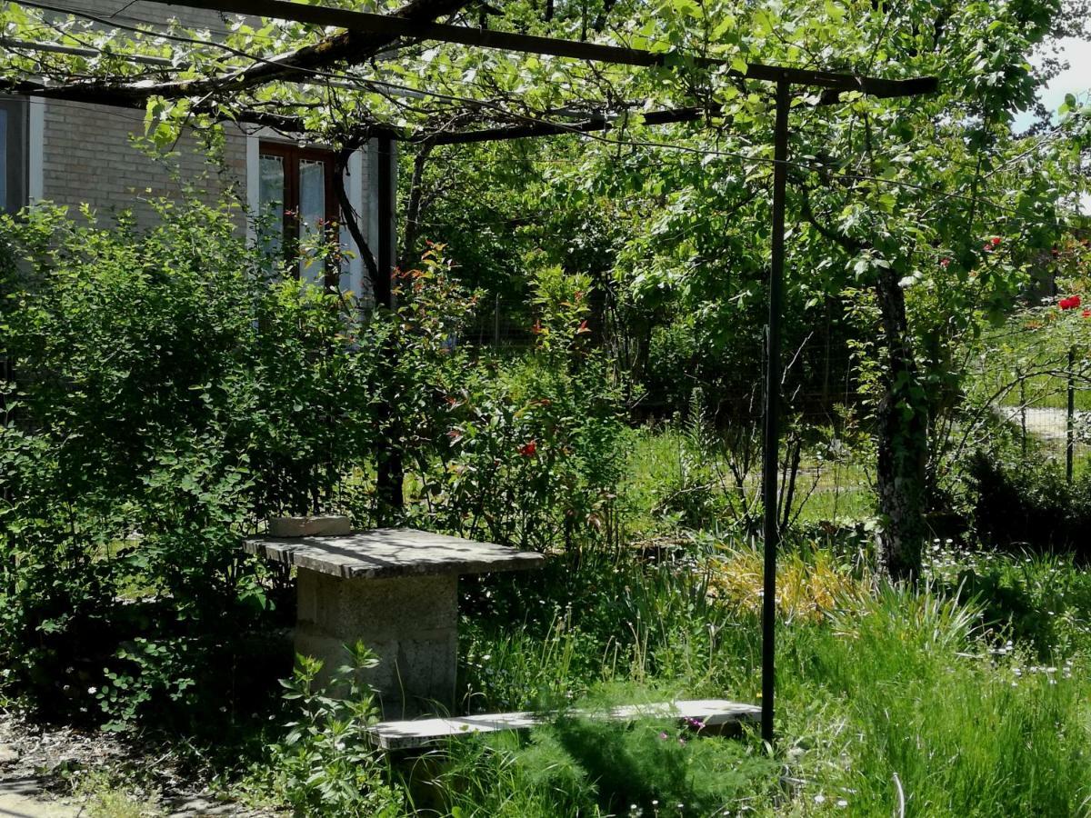 Decollatura Casa Nel Verde מראה חיצוני תמונה