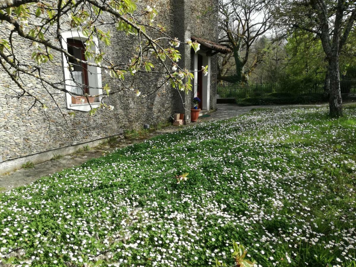 Decollatura Casa Nel Verde מראה חיצוני תמונה